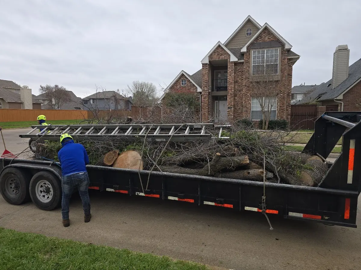 Expert Tree Fertilization with proper safety equipment in Marshfield